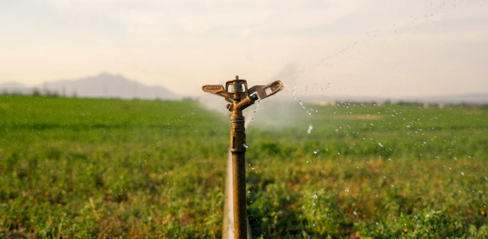 Irrigation Services Irrigation Services